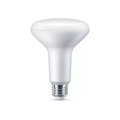Dimmable LED Flood Light Bulb